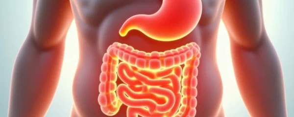 massage-et-digestion-quels-liens-entre-le-ventre-et-le-bien-etre-global